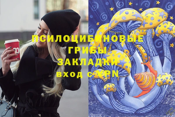 метамфетамин Алексин