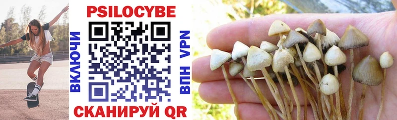 как найти наркотики  Волгоград  Галлюциногенные грибы Magic Shrooms 
